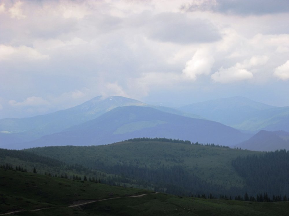 IMG_7720.JPG
