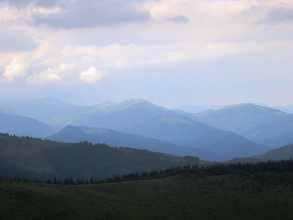 IMG_7721.JPG
