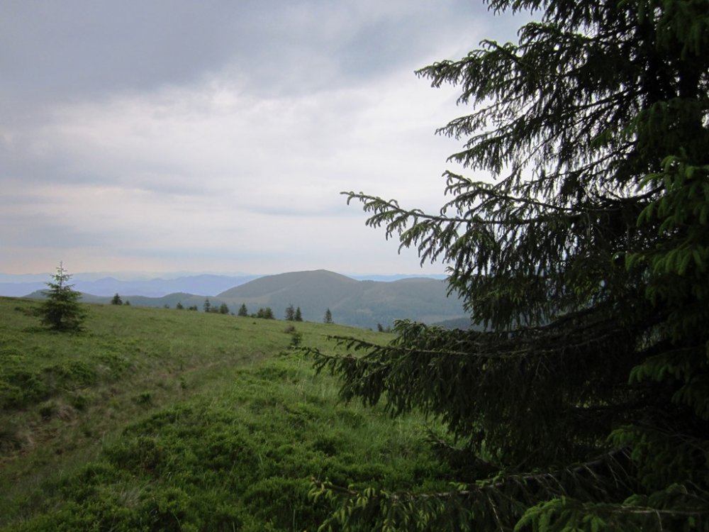 IMG_7726.JPG