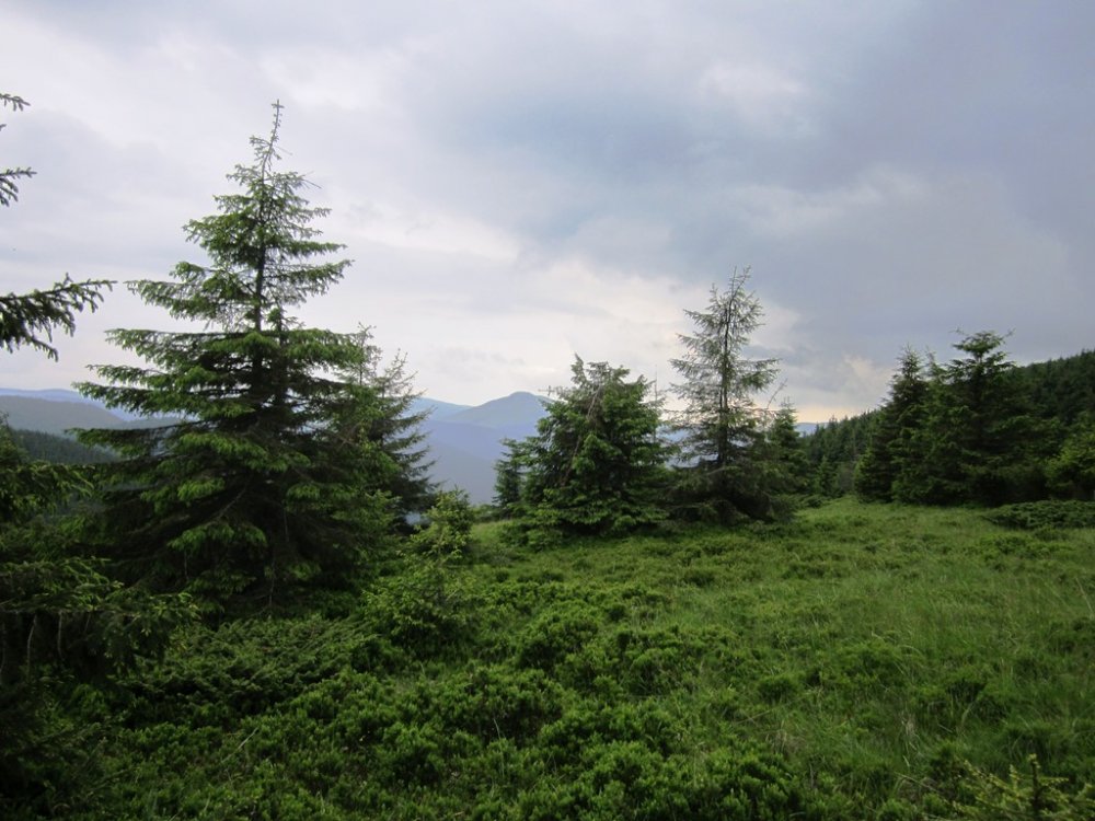 IMG_7727.JPG
