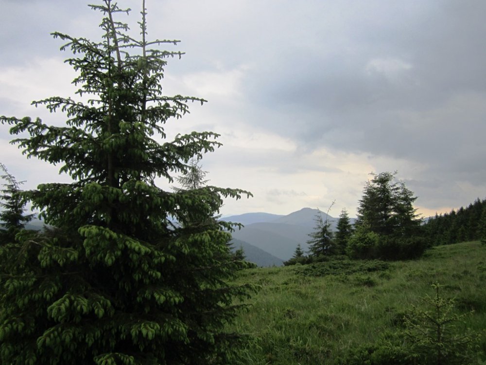 IMG_7729.JPG
