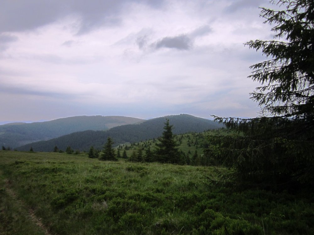 IMG_7732.JPG