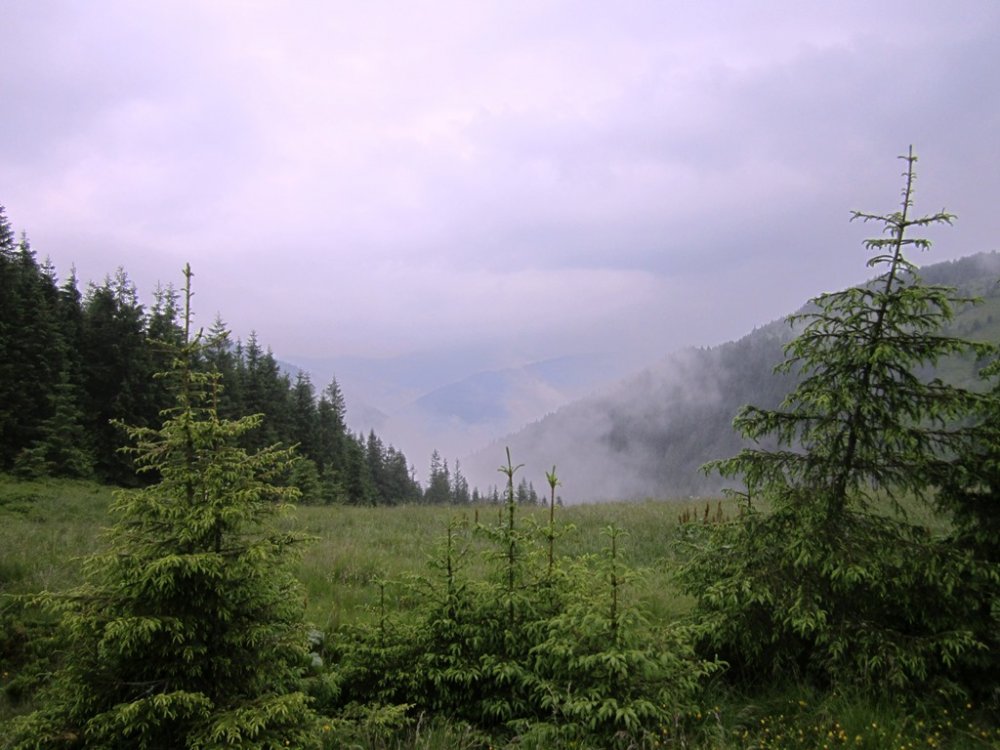 IMG_7733.JPG