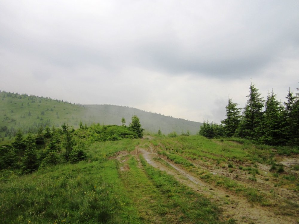 IMG_7736.JPG