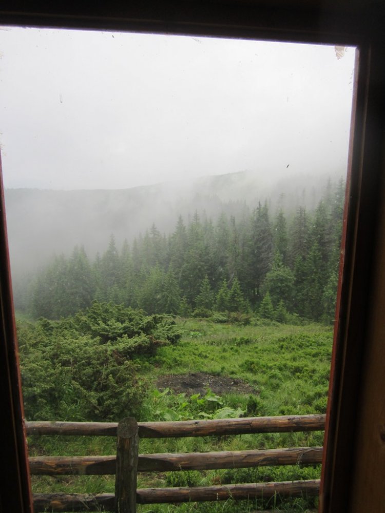 IMG_7769.JPG