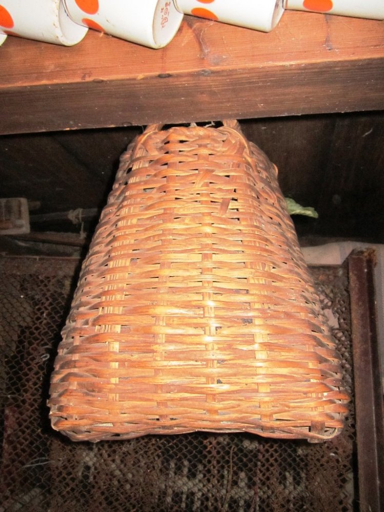 IMG_7807.JPG