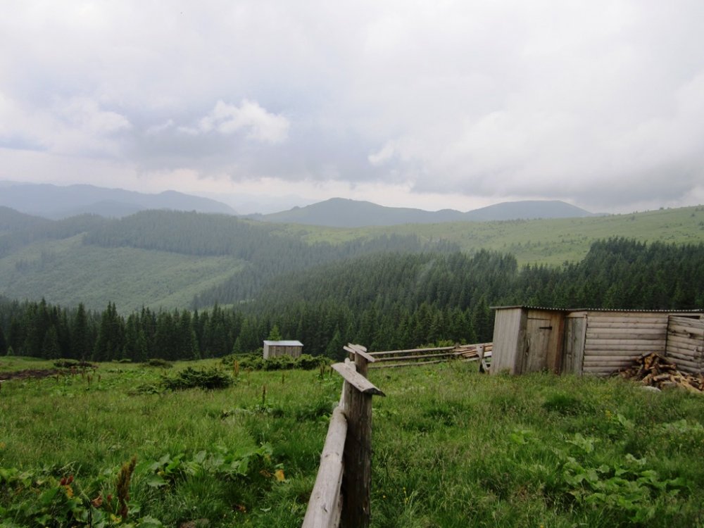 IMG_7836.JPG