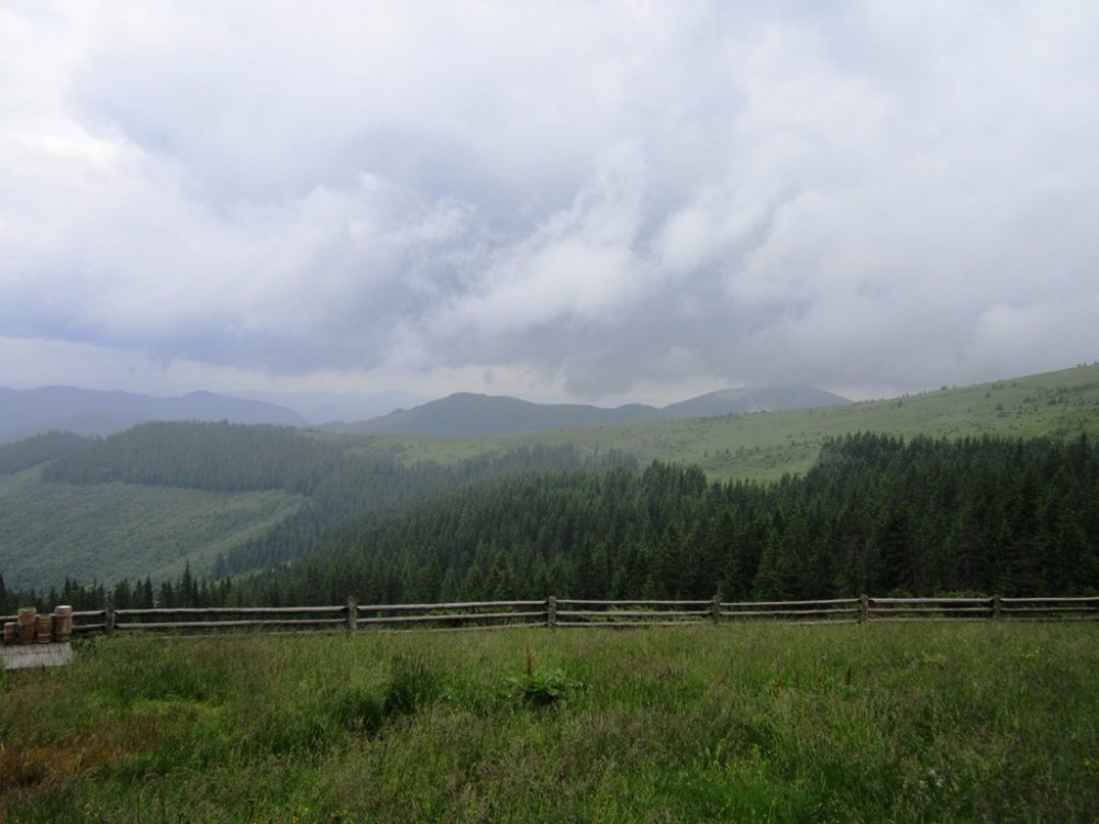 IMG_7850.JPG