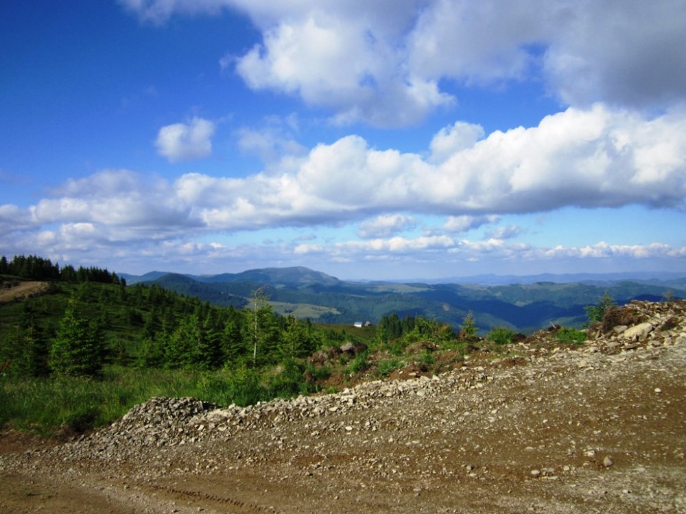IMG_7883.JPG