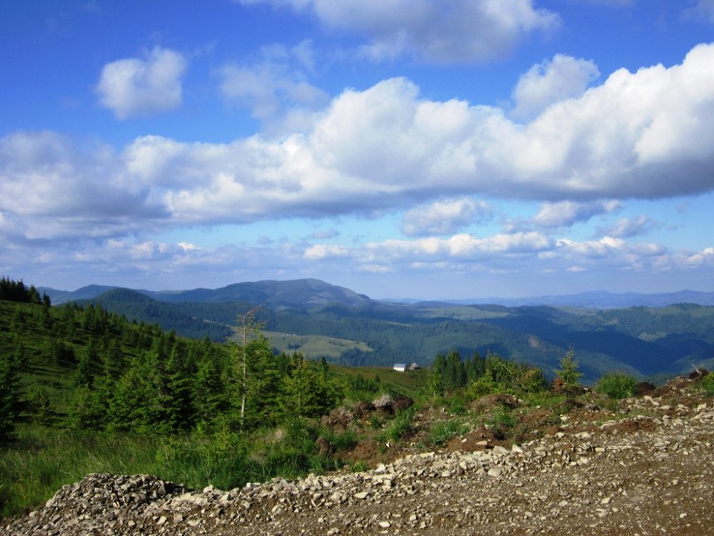 IMG_7884.JPG
