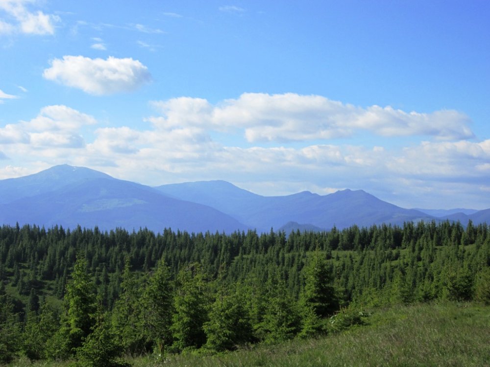 IMG_7885.JPG