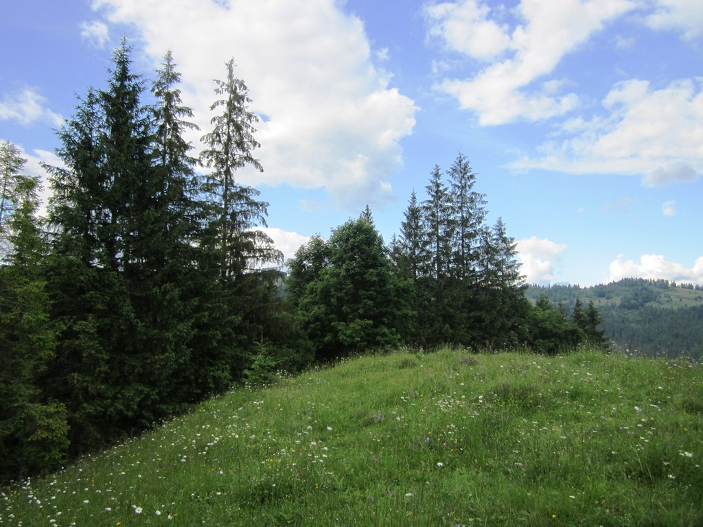 IMG_7928.JPG