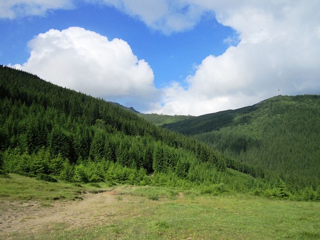 IMG_7981.JPG