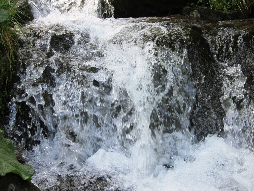 IMG_7989.JPG