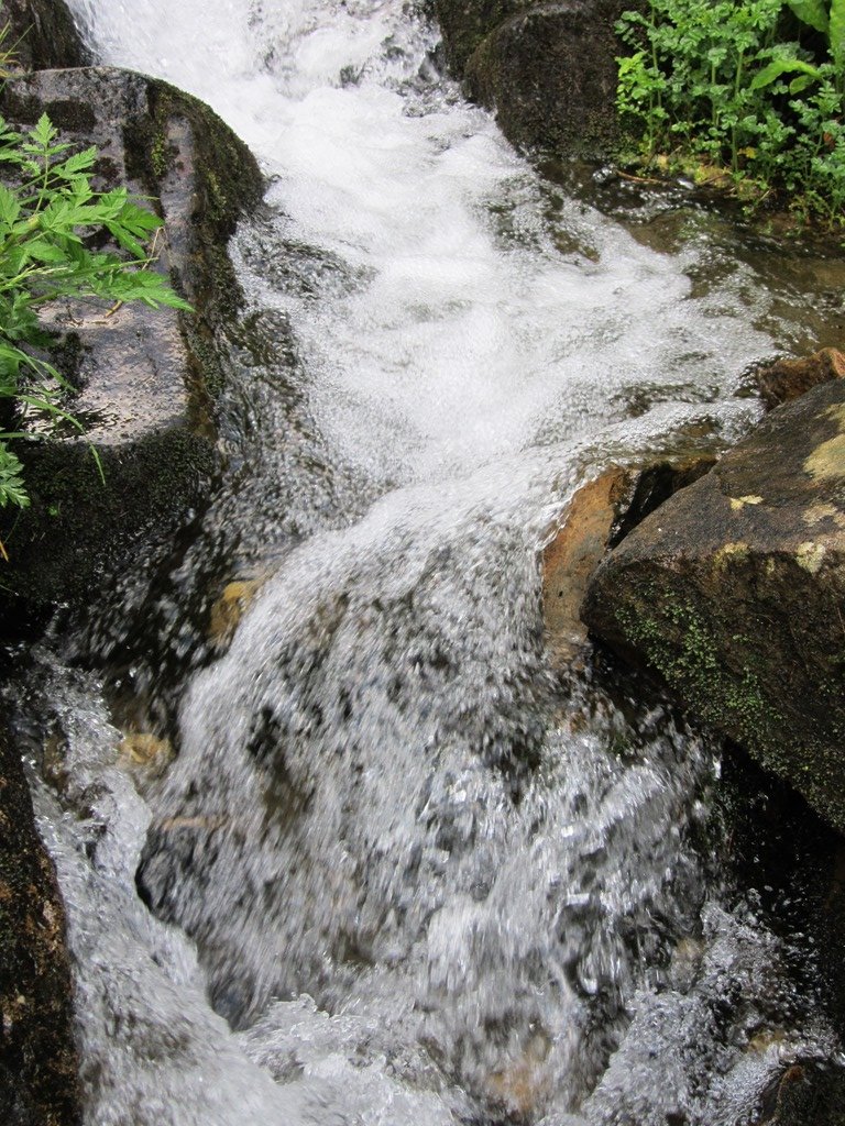 IMG_8000.JPG