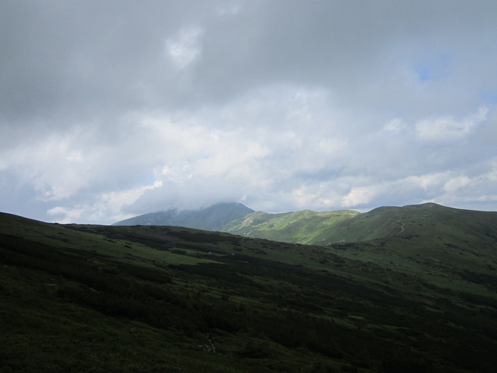 IMG_8022.JPG