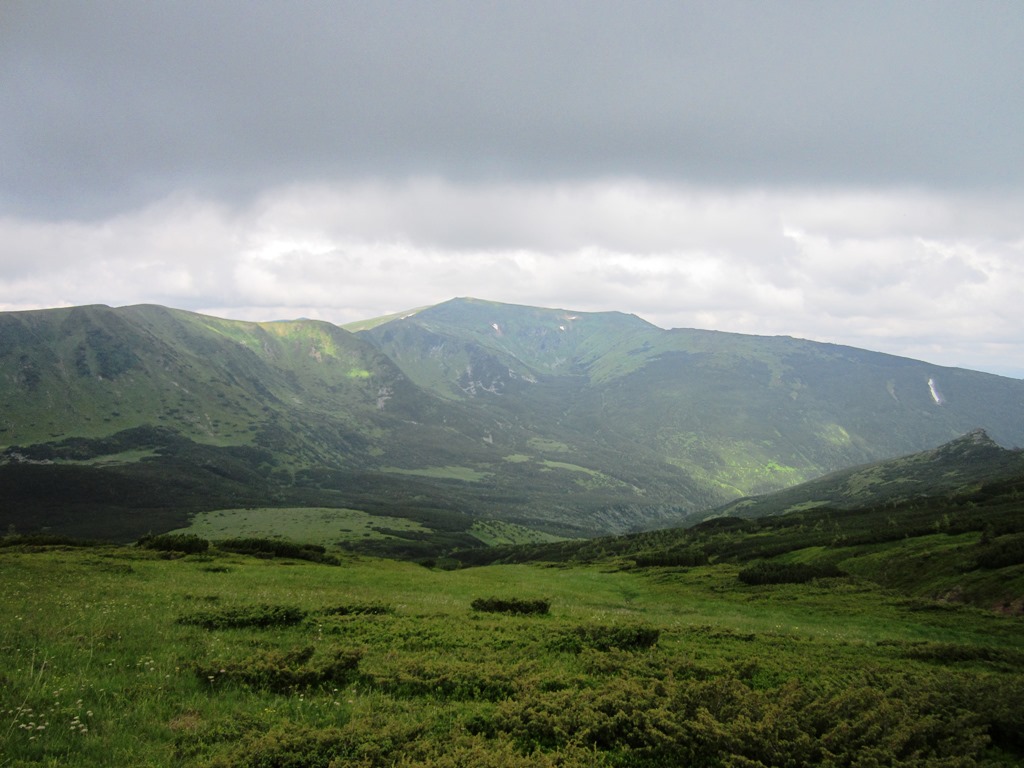 IMG_8028.JPG