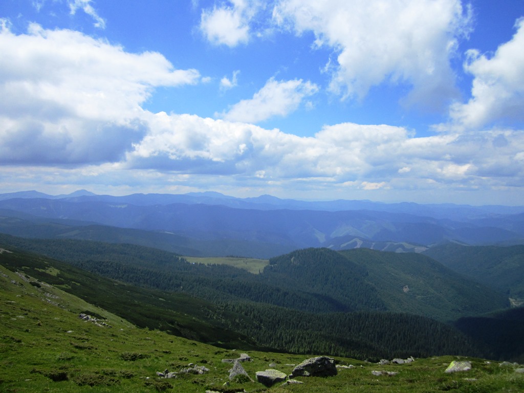 IMG_8118.JPG