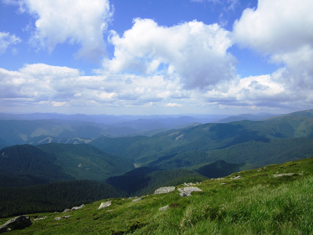 IMG_8119.JPG