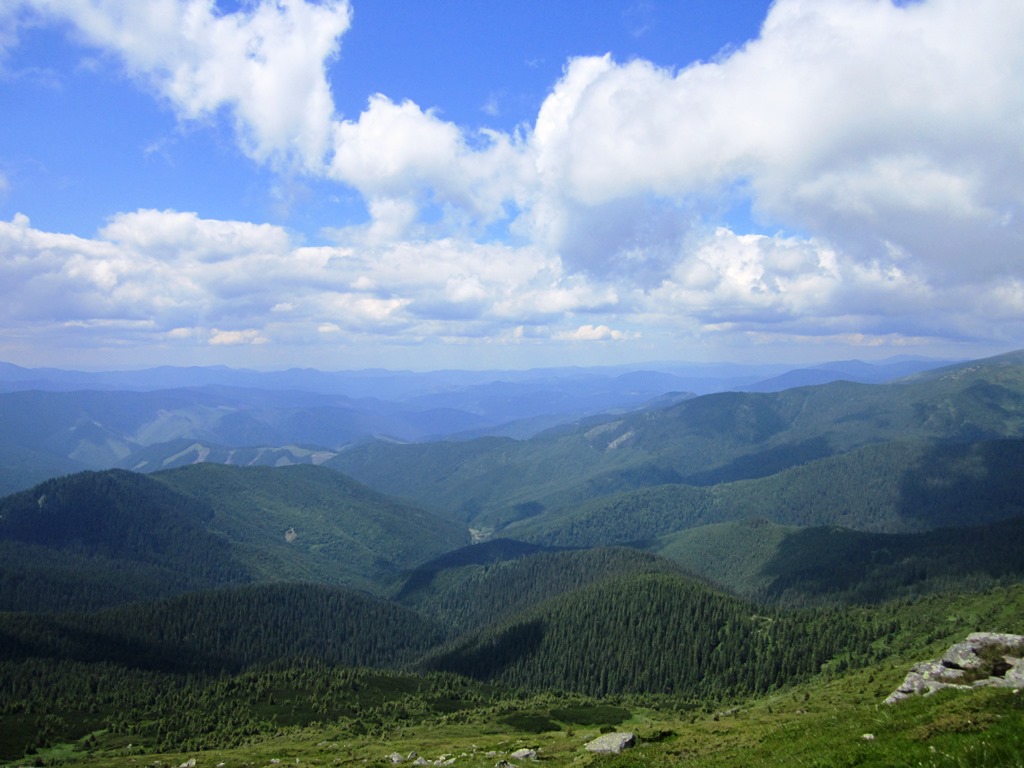 IMG_8122.JPG