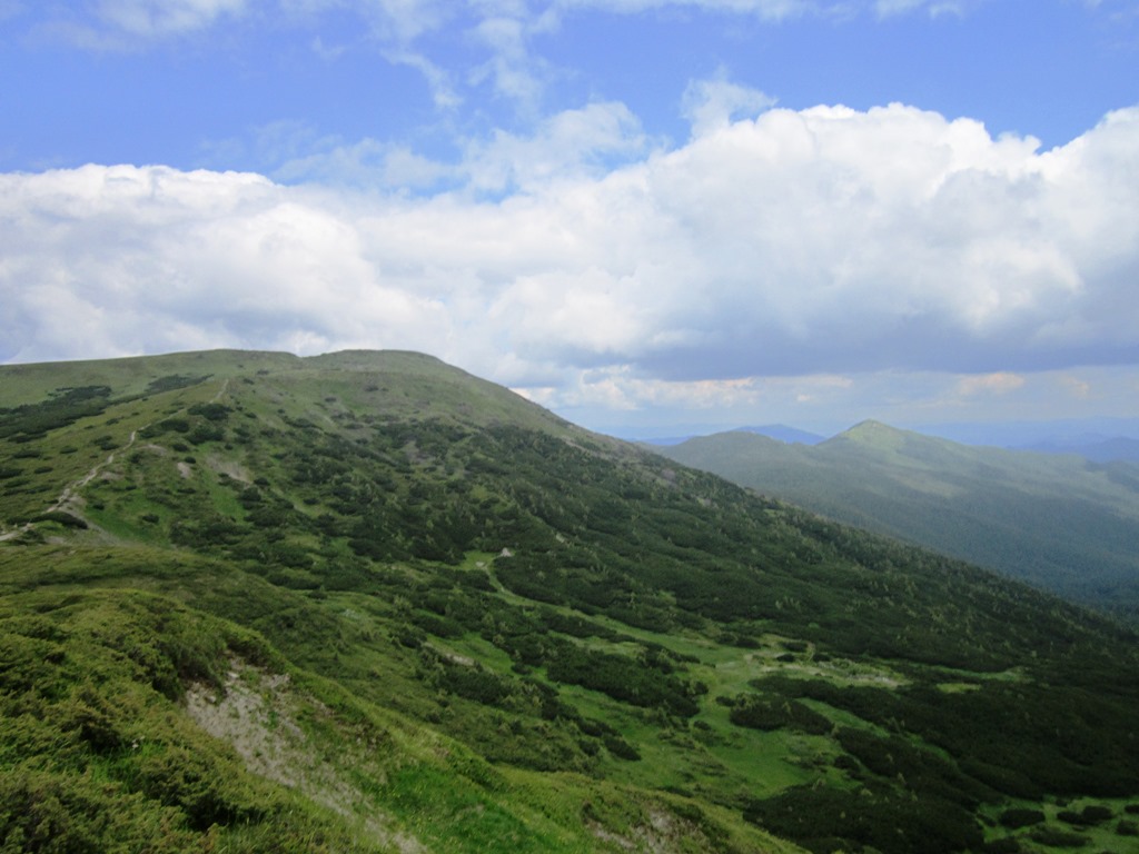 IMG_8138.JPG