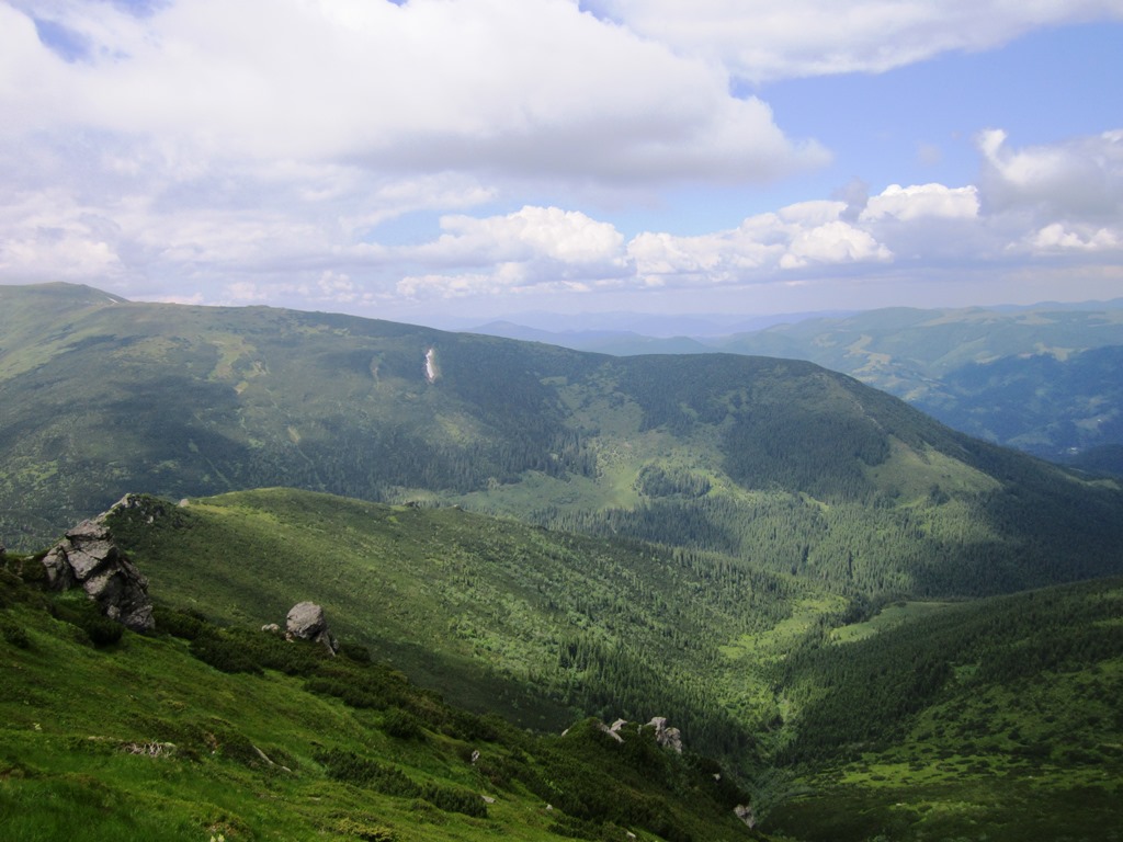 IMG_8153.JPG