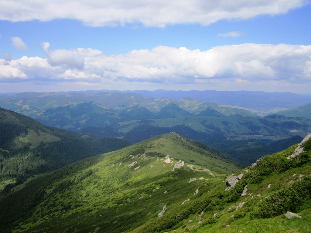 IMG_8154.JPG