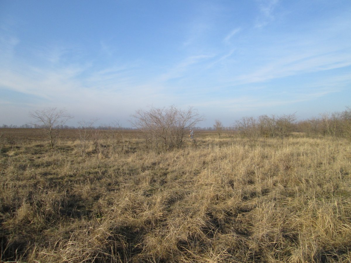 IMG_8181.JPG