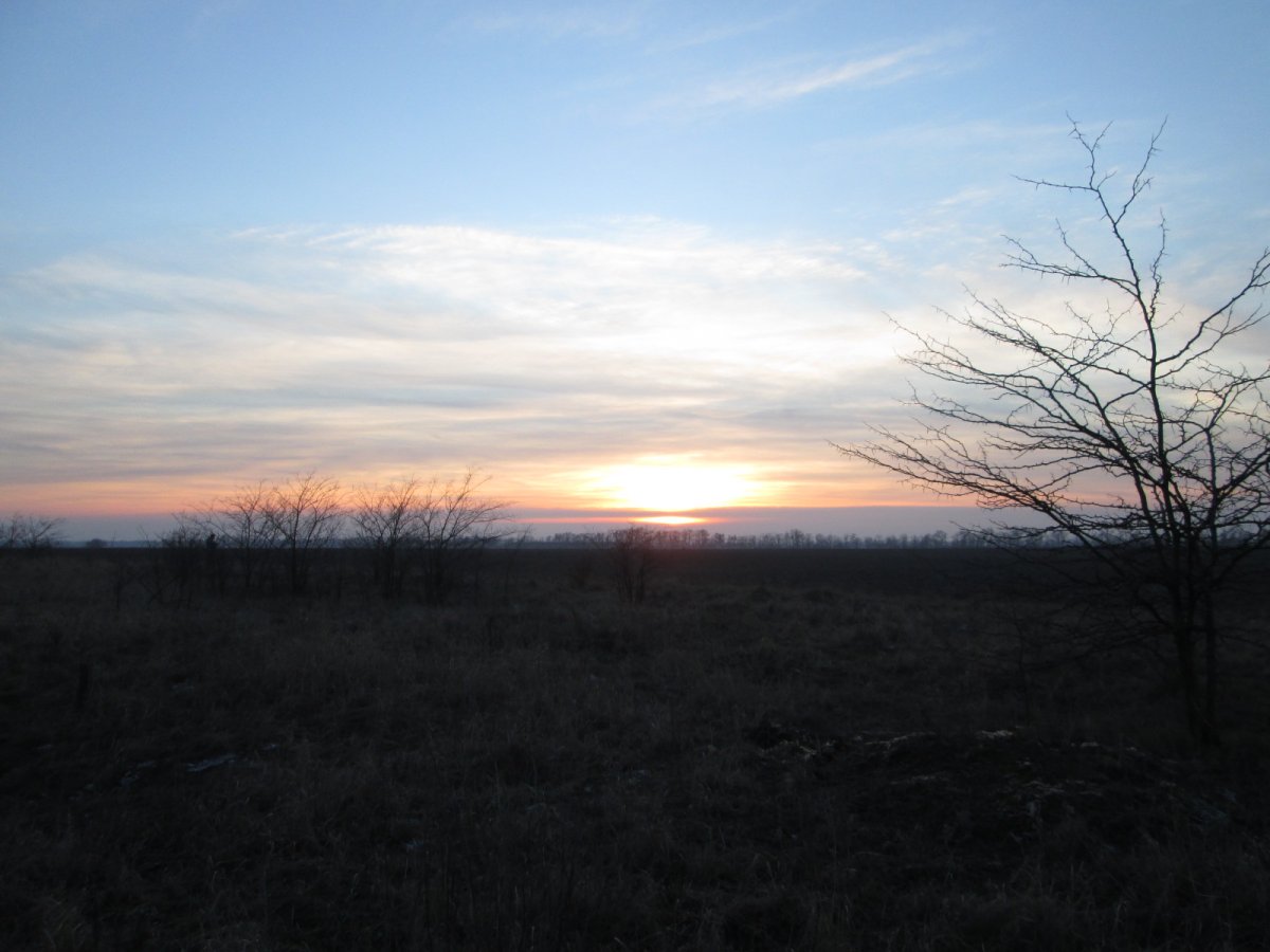 IMG_8188.JPG