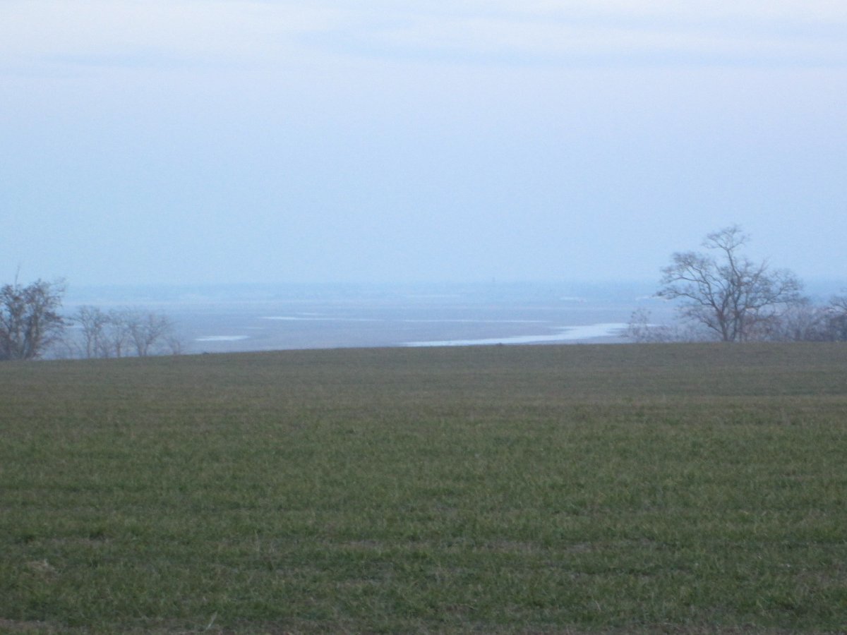 IMG_8189.JPG