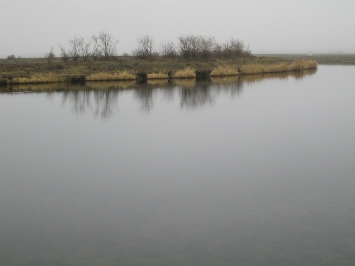 IMG_8208.JPG