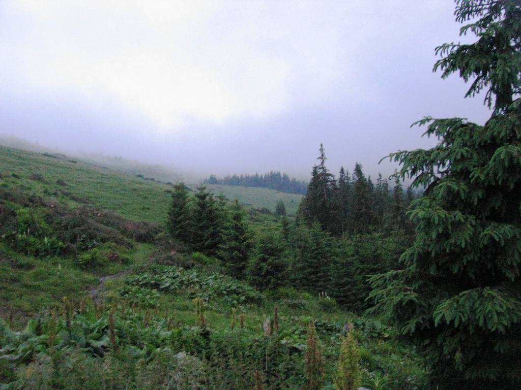 IMG_8352.JPG