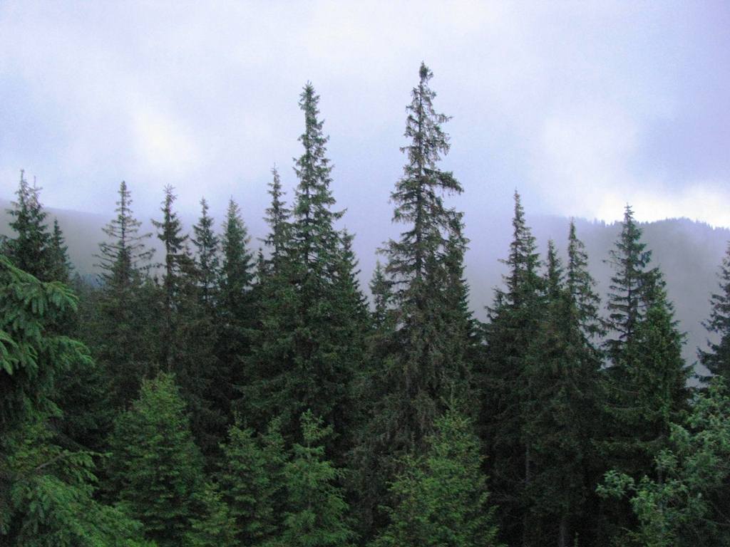 IMG_8353.JPG