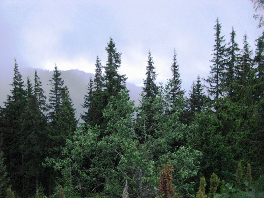 IMG_8354.JPG