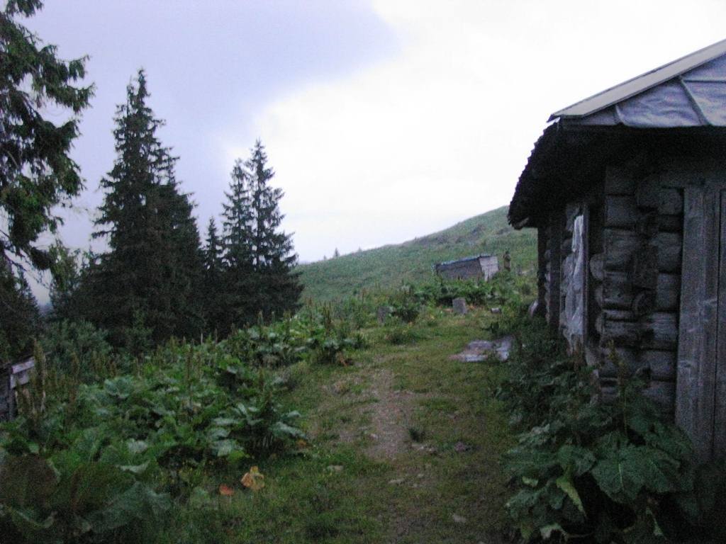 IMG_8355.JPG