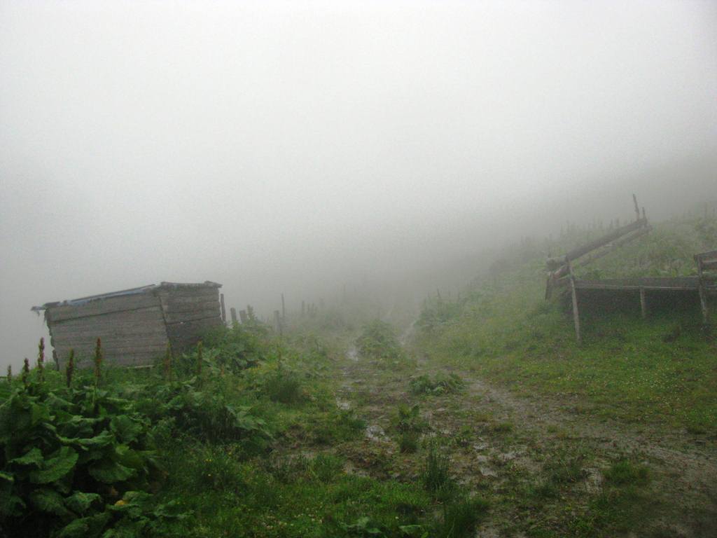 IMG_8390.JPG