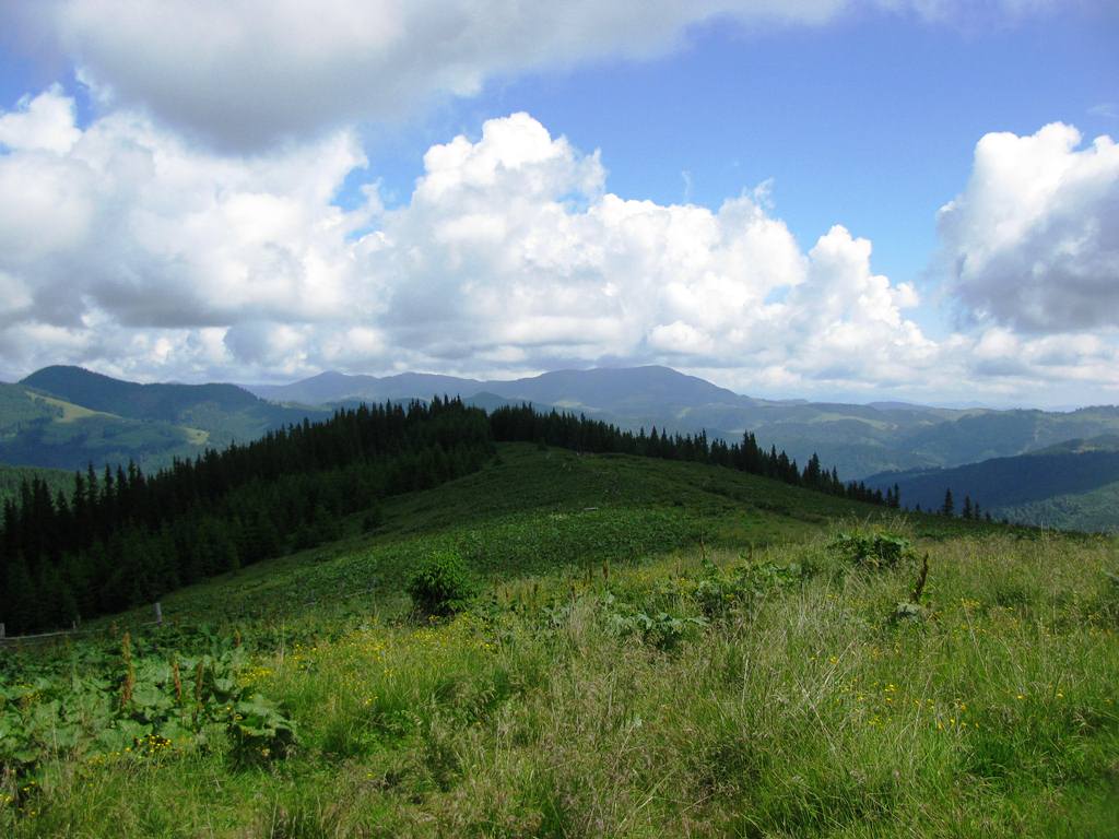 IMG_8414.JPG