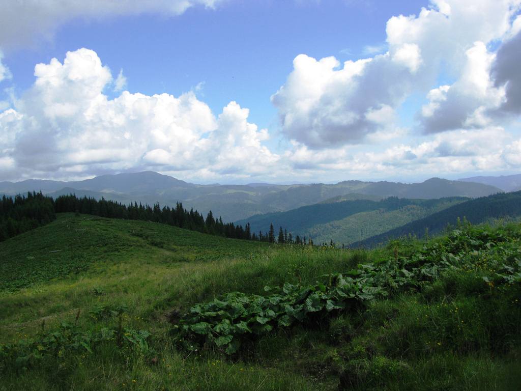 IMG_8418.JPG