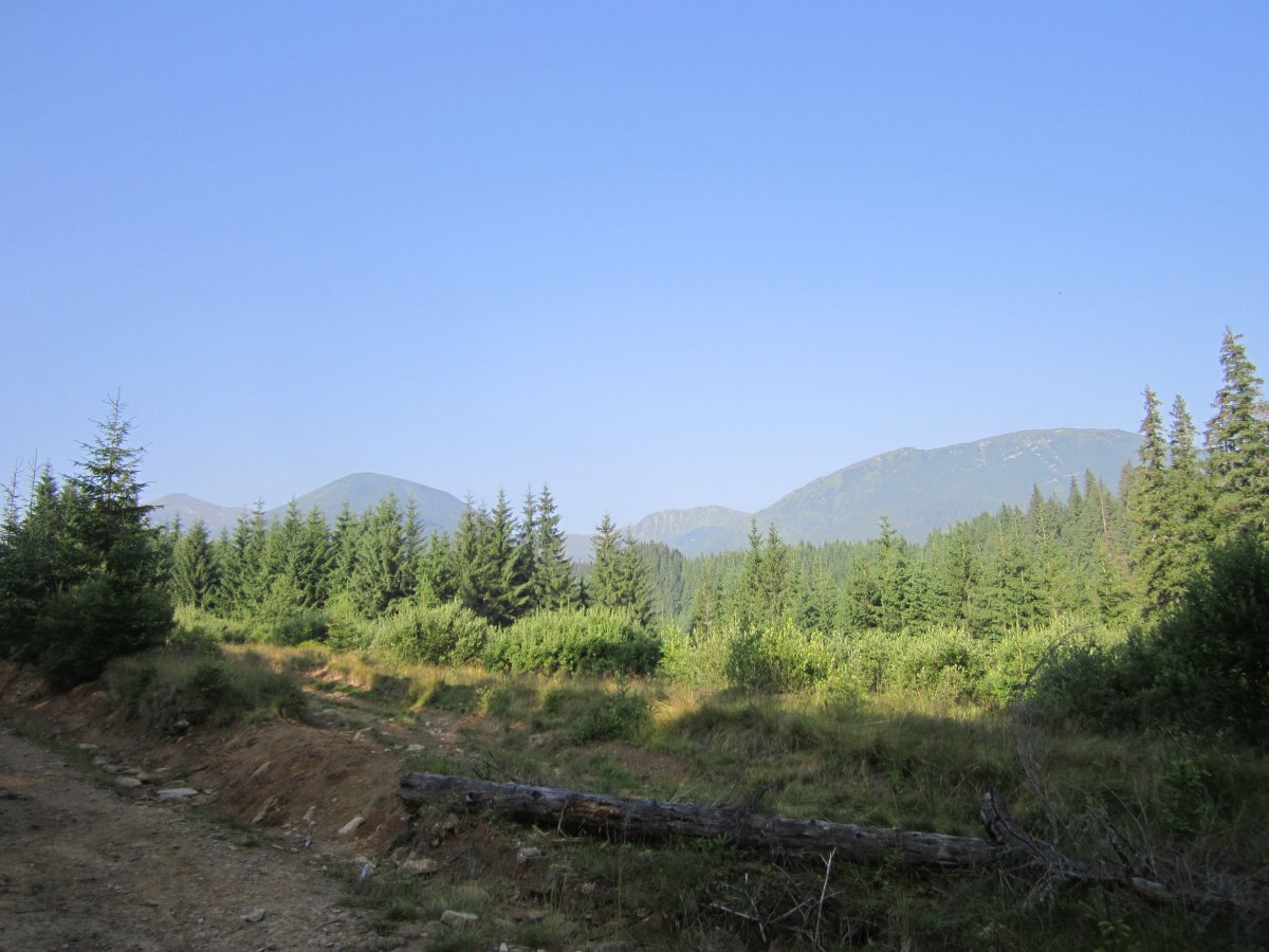IMG_8418.JPG