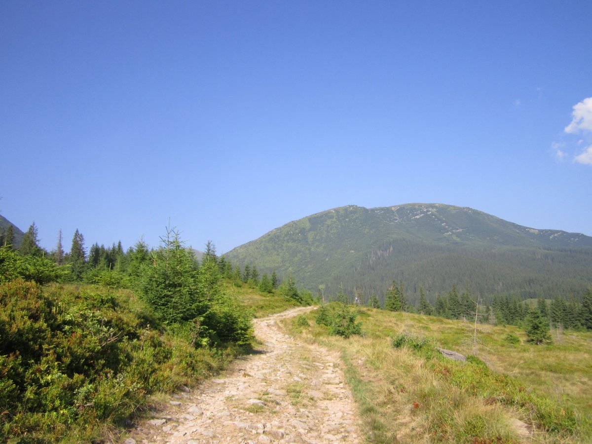 IMG_8420.JPG