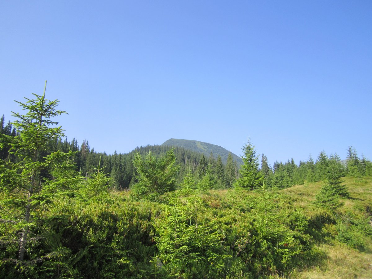 IMG_8422.JPG