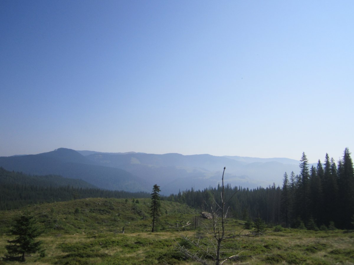 IMG_8423.JPG