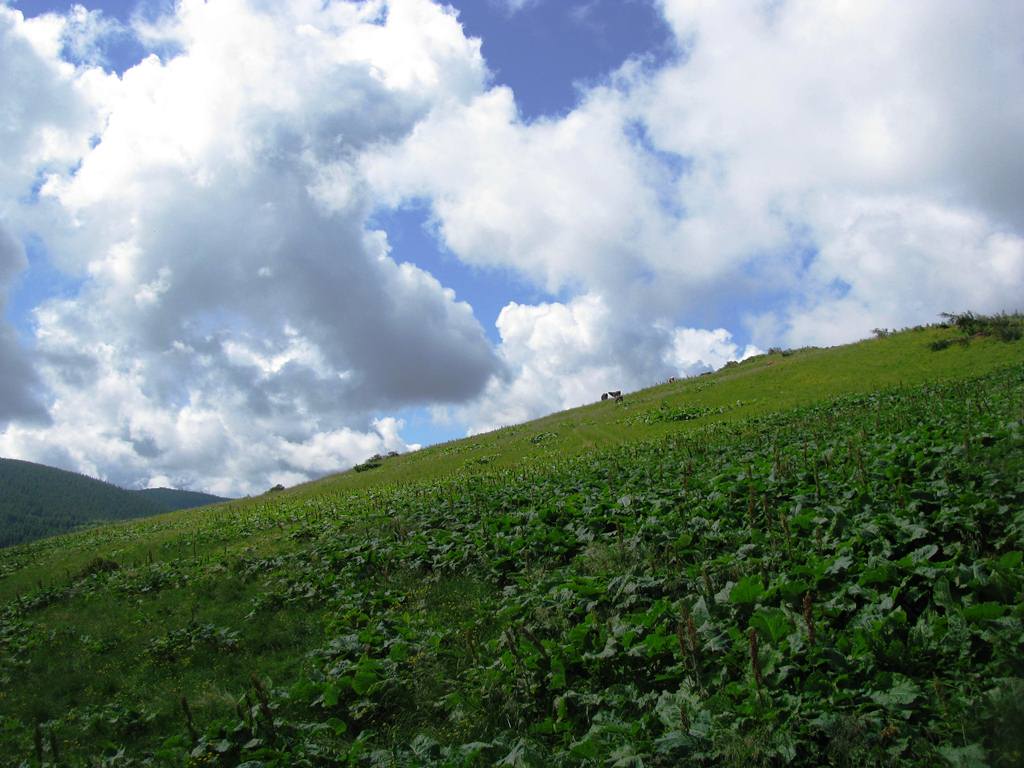 IMG_8424.JPG