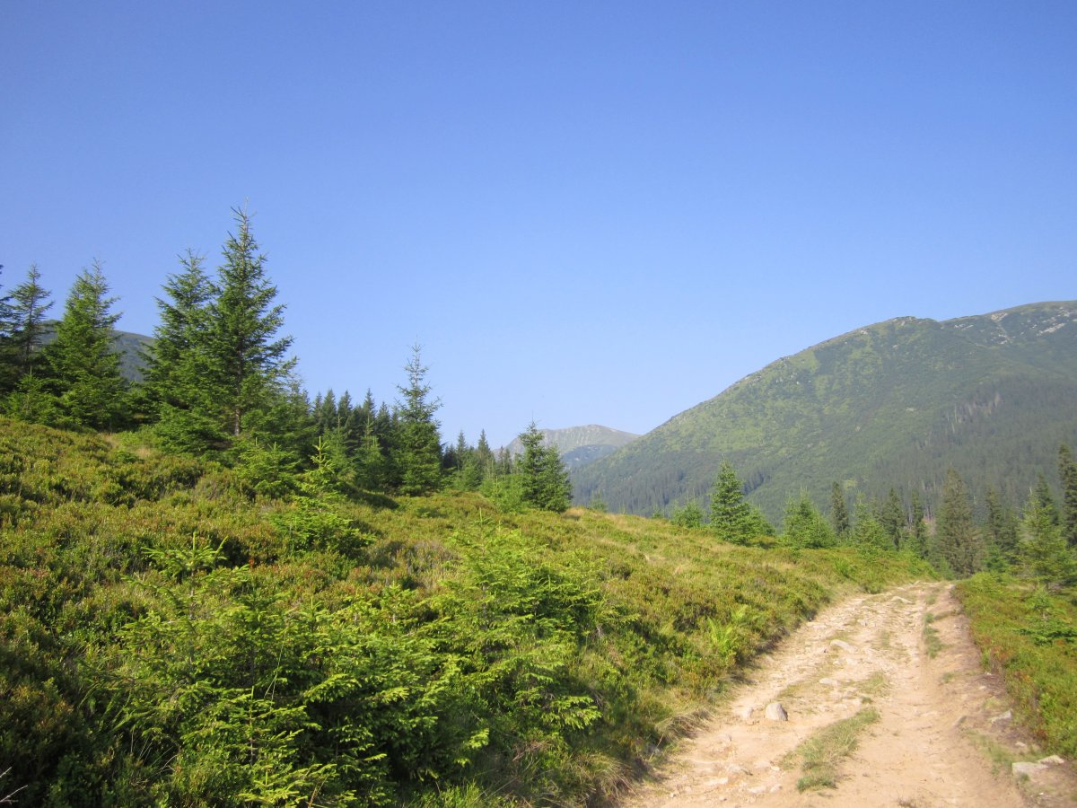 IMG_8424.JPG