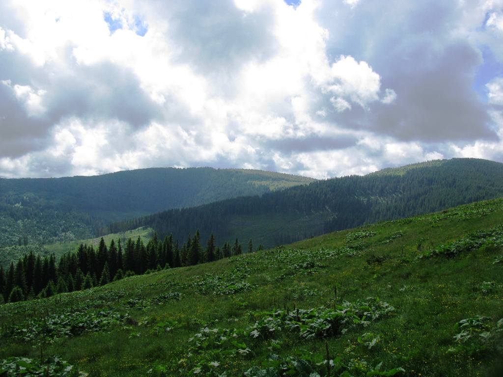 IMG_8425.JPG