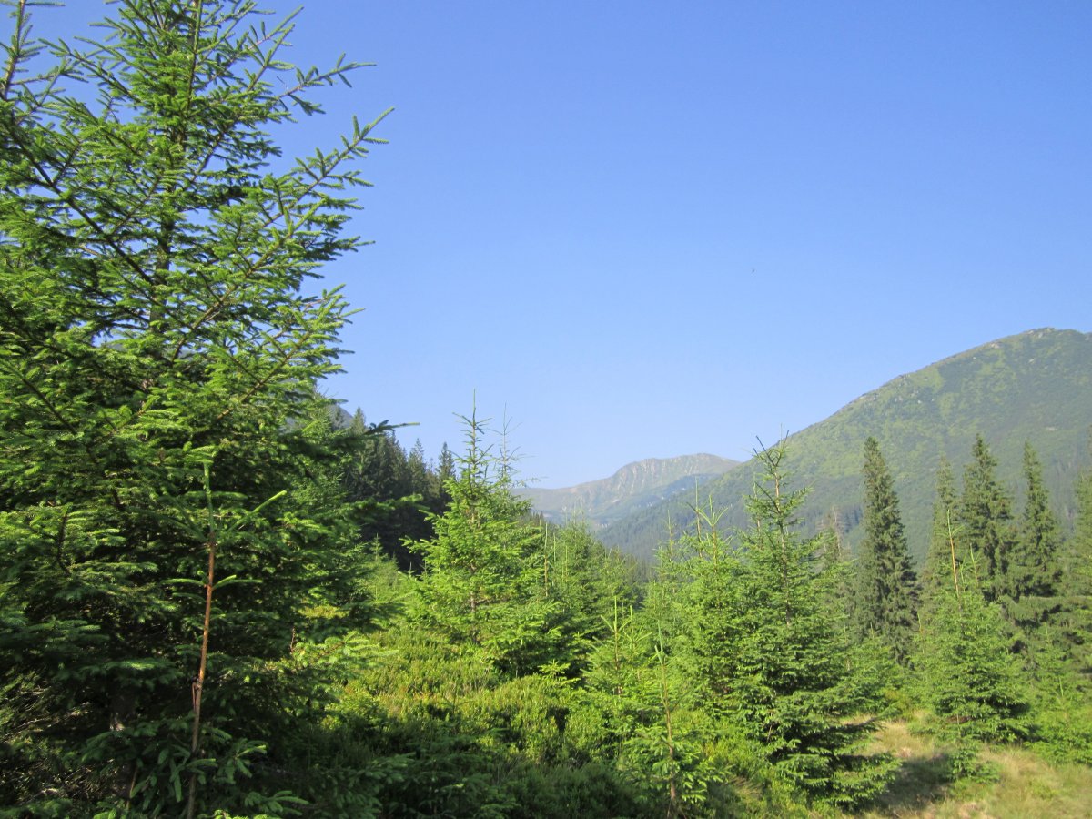 IMG_8425.JPG