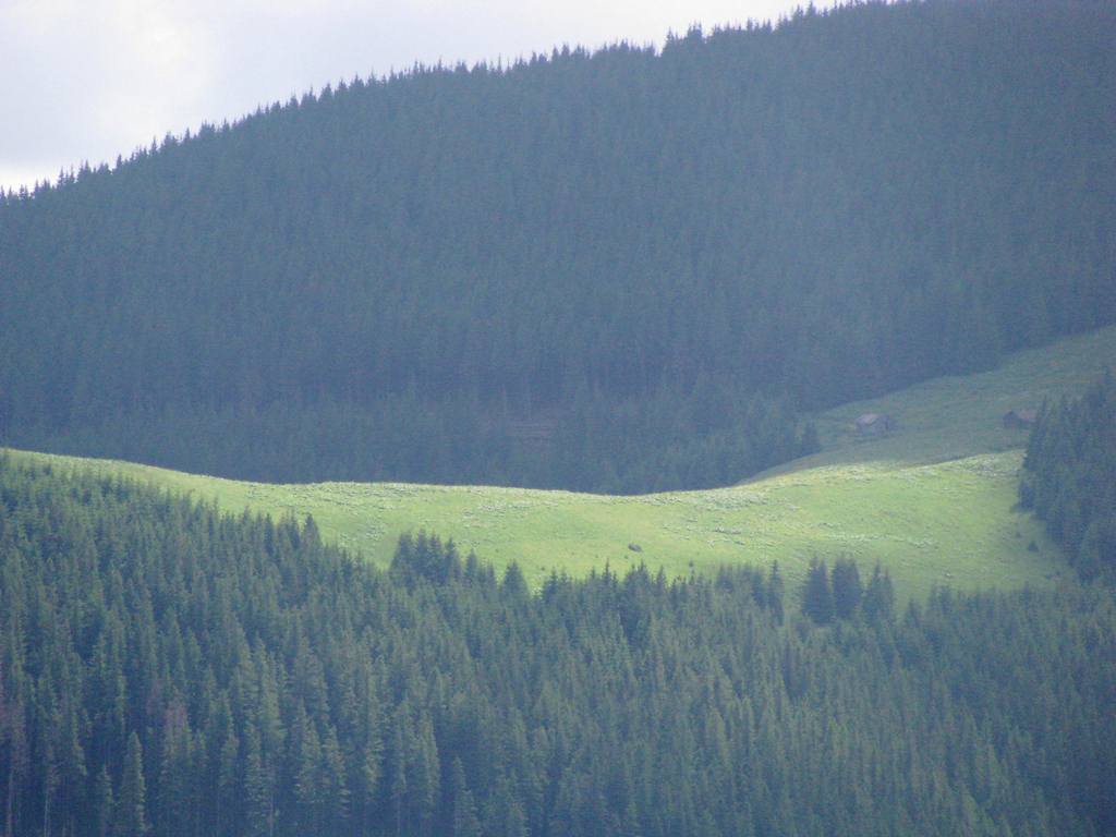 IMG_8427.JPG