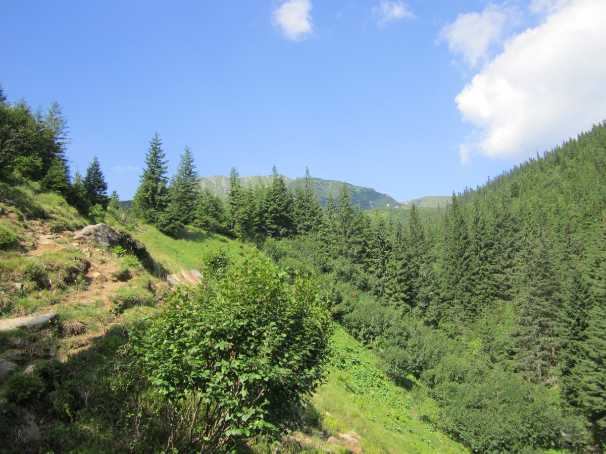 IMG_8431.JPG