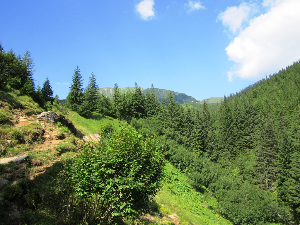 IMG_8431.JPG