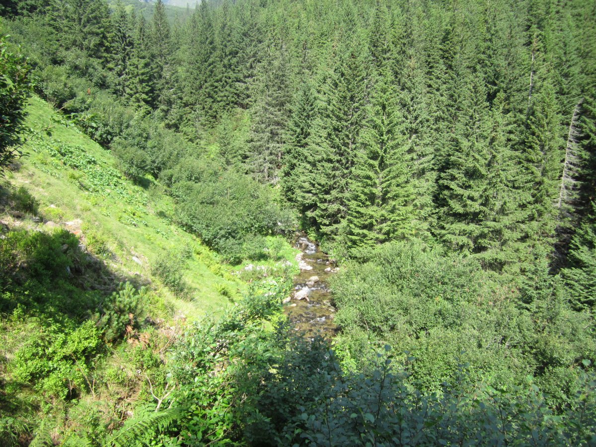 IMG_8432.JPG